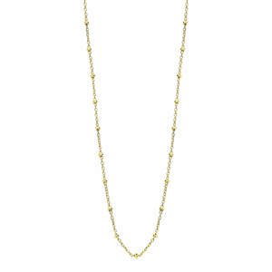 Lotus Silver Nadčasový pozlacený náhrdelník LP3294-1/2