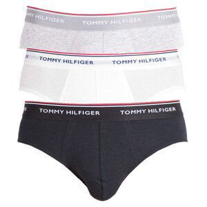 3PACK pánské slipy Tommy Hilfiger vícebarevné (1U87903766 004) XL