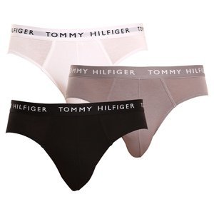 3PACK pánské slipy Tommy Hilfiger vícebarevné (UM0UM02206 0TG) M